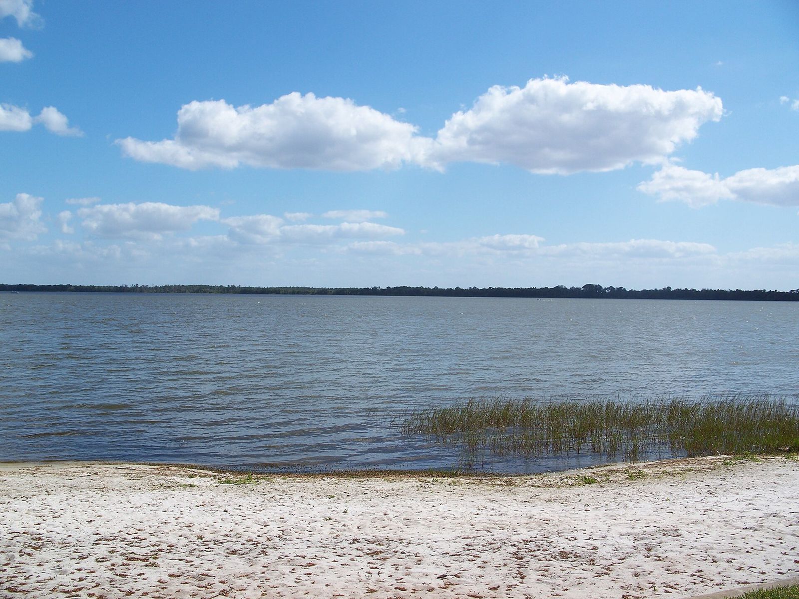 Boats and docks along Lake Dora